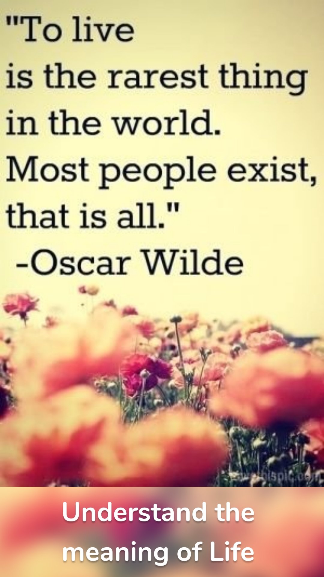 Understand the meaning of Life