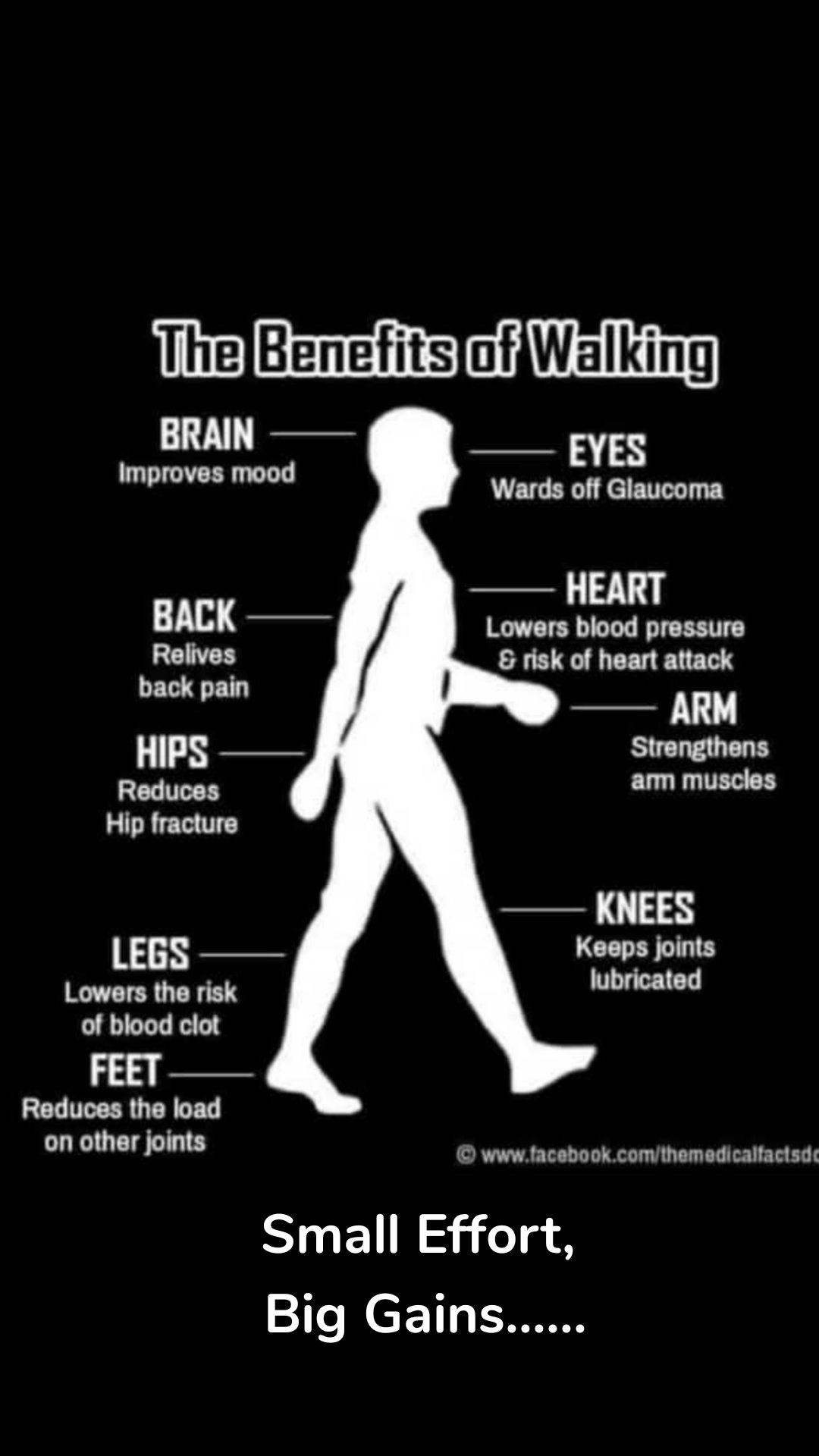 Small Effort,
Big Gains......